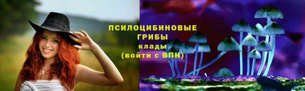меф Новозыбков