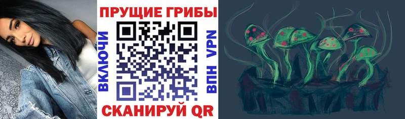 купить  сайты  Сорск  Псилоцибиновые грибы MAGIC MUSHROOMS 